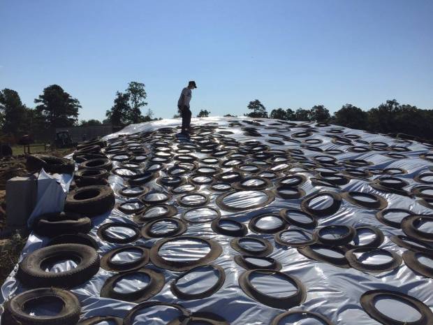 13708438_1238322749525326_1193328879057258380_o